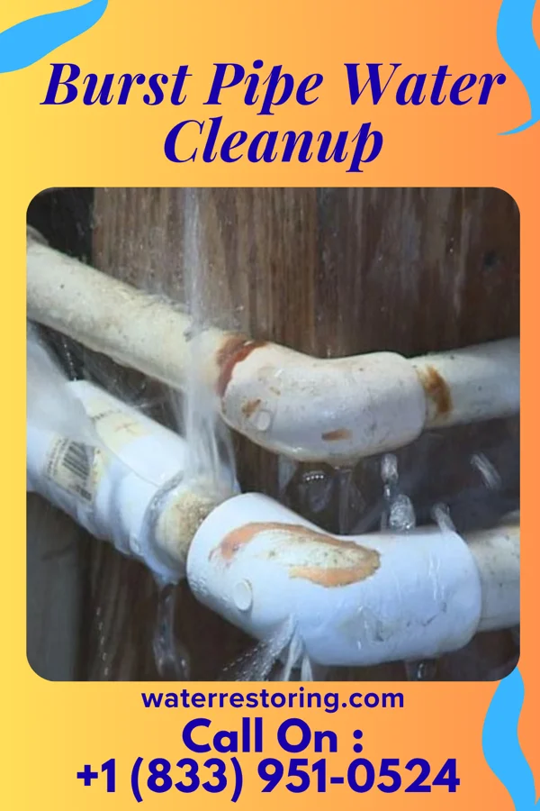 Burst Pipe Water Cleanup in Butler, OH