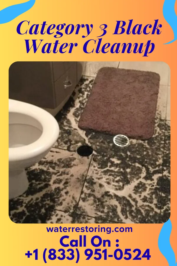 Category 3 Black Water Cleanup in Butler, OH