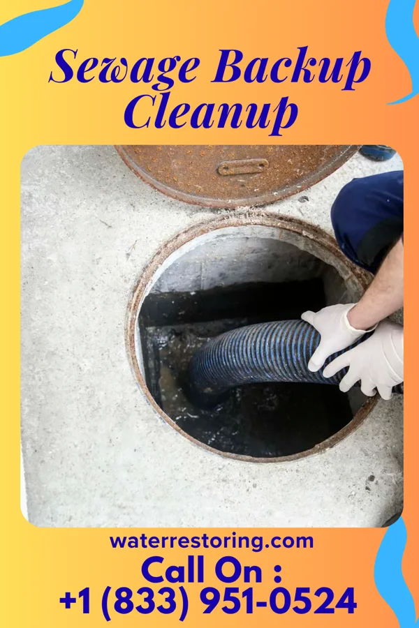 Sewage Backup Cleanup in Butler, OH