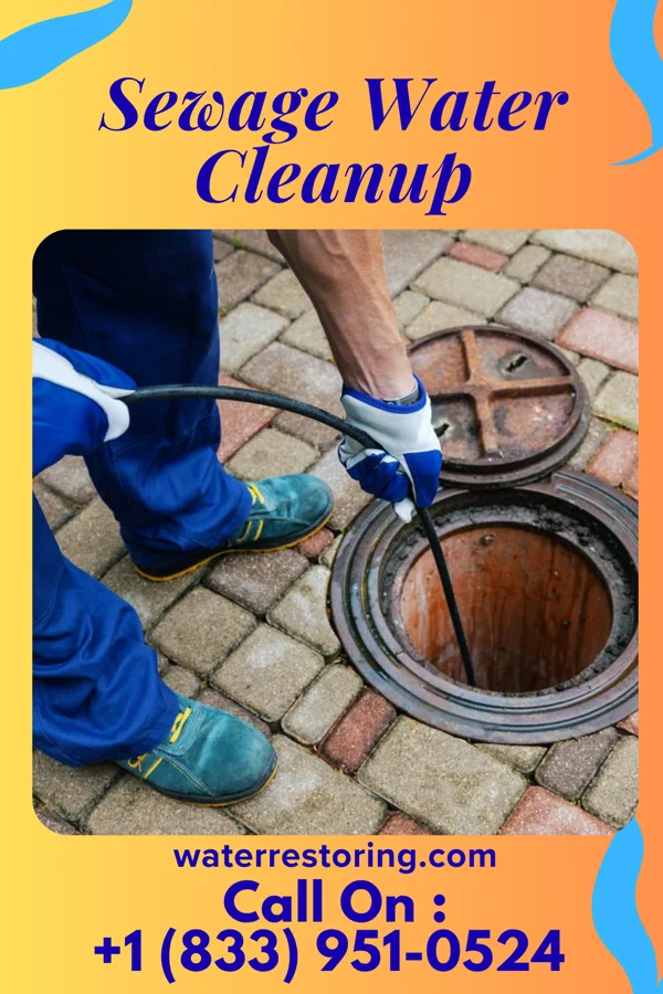 Sewage Water Cleanup in Butler, OH